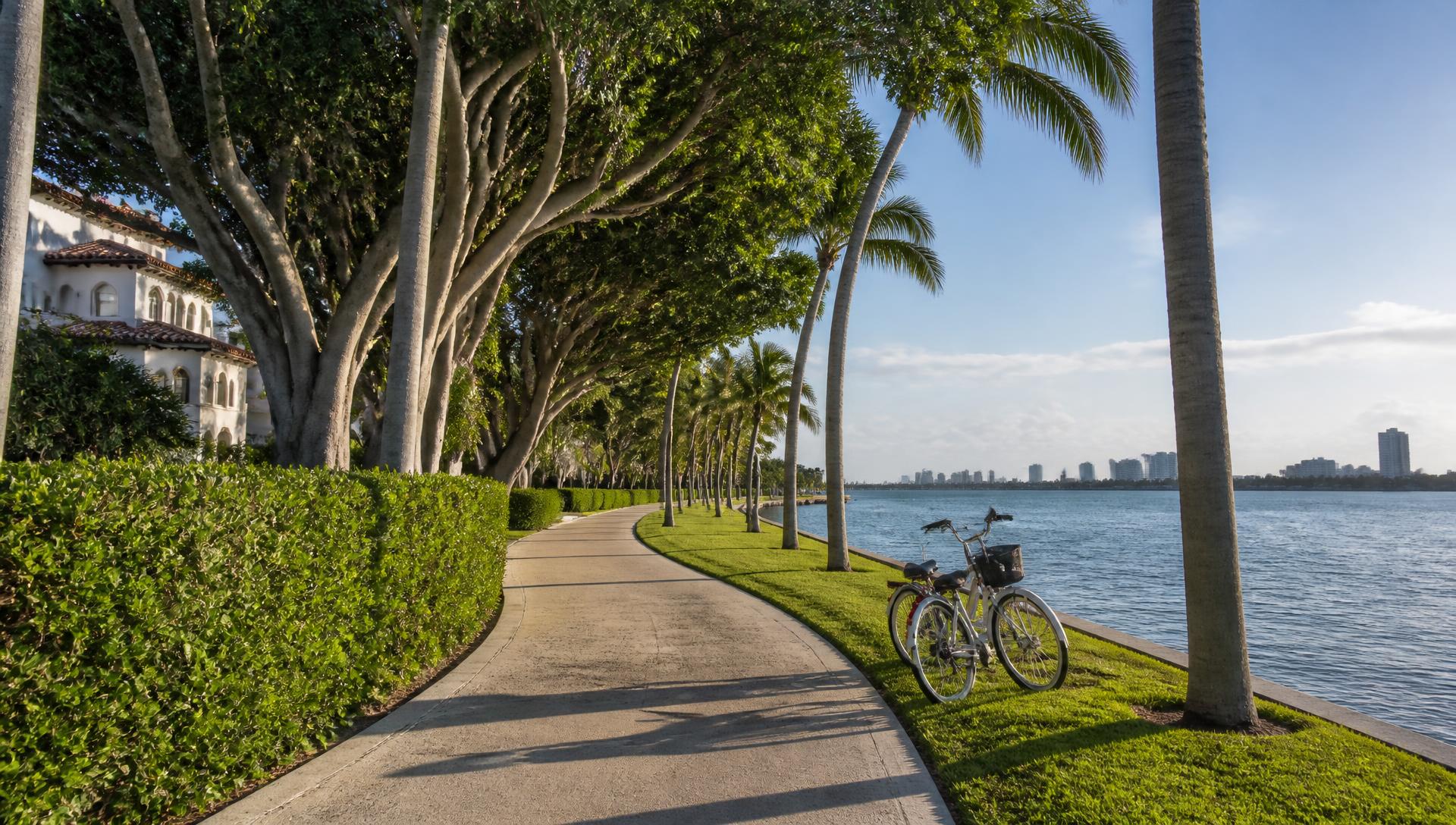Palm Beach lake trail lined with palm trees